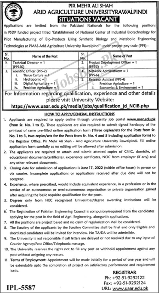 Pir Mehr Ali Shah Arid Agriculture University UAAR Jobs 2022