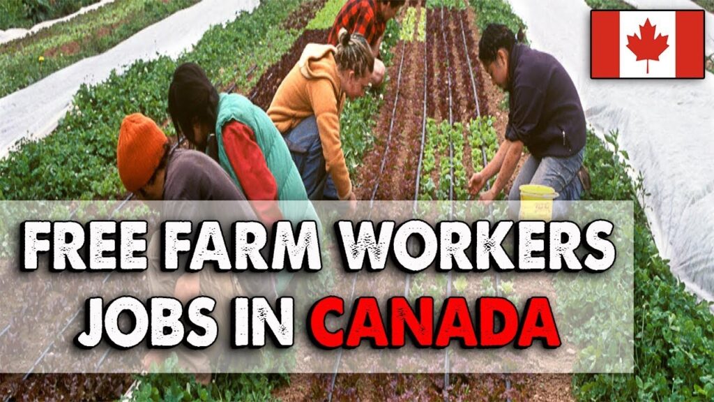 Jobs in Canada in Farm Worker with Visa Sponsorship 2024 - Salary $30/Hour